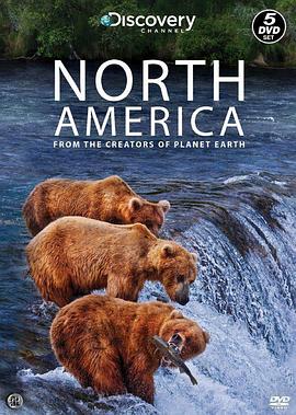 北美大地 North America.2013 字幕下载