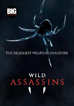 Wild Assassins .2023 字幕下载
