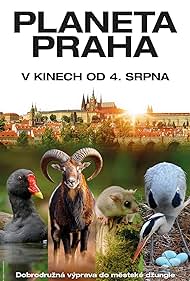 布拉格星球 Planeta Praha.2022 字幕下载