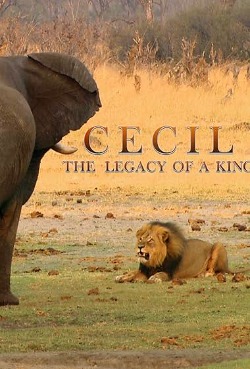 Cecil: The Legacy of a King .2020 字幕下载