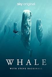 Whale with Steve Backshall .2023 字幕下载