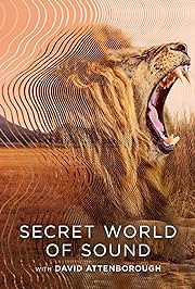 Secret World of Sound with David Attenborough .2024 字幕下载