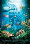海底世界3D Under the Sea 3D.2009 字幕下载