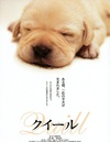 导盲犬小Q クイール.2004 字幕下载