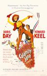 野姑娘杰恩 Calamity Jane.1953 字幕下载