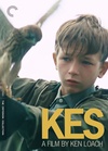 小孩与鹰 Kes.1969 字幕下载