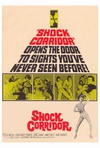 恐怖走廊 Shock Corridor.1963 字幕下载