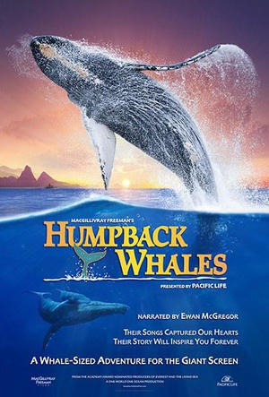座头鲸 Humpback Whales.2015 字幕下载