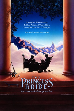 公主新娘 The Princess Bride.1987 字幕下载