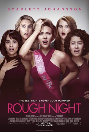 仓皇一夜 Rough Night.2017 字幕下载