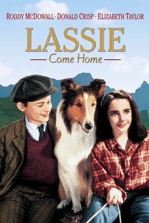 灵犬莱西 Lassie Come Home.1943 字幕下载