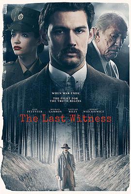 最后证人 The Last Witness.2018 字幕下载