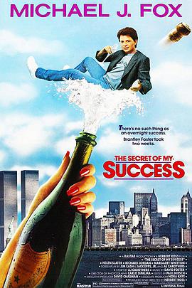 成功的秘密 The Secret of My Succe$s.1987 字幕下载
