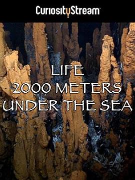 两千米深海生命 Life 2000 Meters Under The Sea.2014 字幕下载