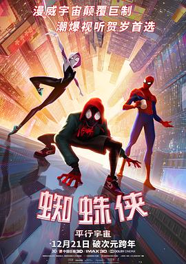 蜘蛛侠：平行宇宙 Spider-Man: Into the Spider-Verse.2018 字幕下载