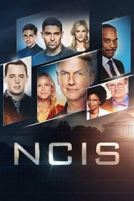 海军罪案调查处 第十七季 NCIS: Naval Criminal Investigative Service Season 17.2019 字幕下载