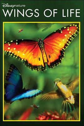 生命之翼 Wings of Life.2013 字幕下载