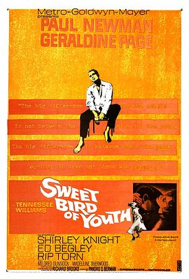 春浓满楼情痴狂 Sweet Bird of Youth.1962 字幕下载