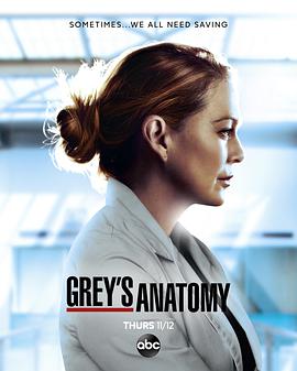 实习医生格蕾 第十七季 Grey's Anatomy Season 17.2020 字幕下载