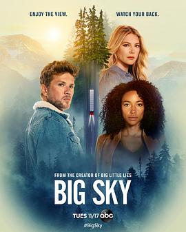 天空市凶案 Big Sky.2020 字幕下载