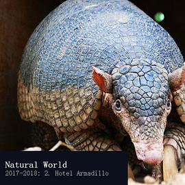 自然系列：犰狳旅馆 Natural World: Hotel Armadillo.2017 字幕下载