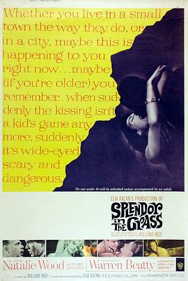 天涯何处觅知音 Splendor in the Grass.1961 字幕下载