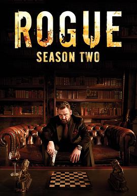 卧底情劫 第二季 Rogue Season 2.2014 字幕下载