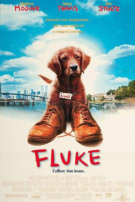 再世人狗缘 Fluke.1995 字幕下载