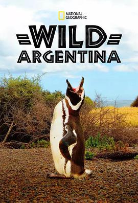 狂野阿根廷 第一季 Wild Argentina Season 1.2017 字幕下载
