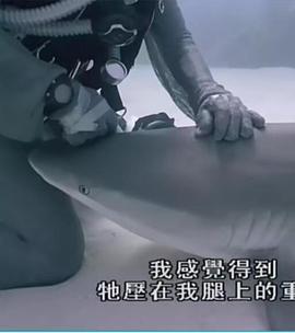 重访蓝色星球 Blue Planet Revisited.2020 字幕下载