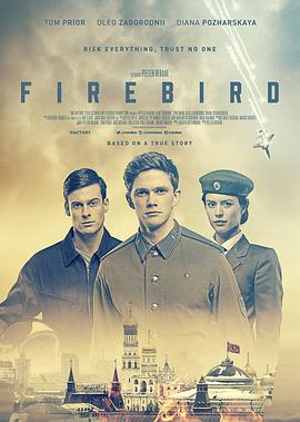 浴火鸟 Firebird.2021 字幕下载