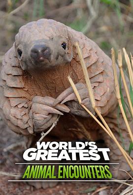 World's Greatest Animal Encounters .2019 字幕下载