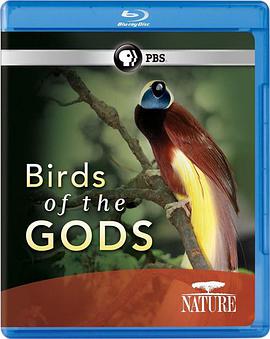 天堂鸟 Nature: Birds of the Gods.2011 字幕下载