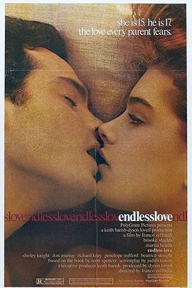无尽的爱 Endless Love.1981 字幕下载