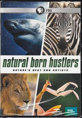天生骗徒 Natural Born Hustlers.2016 字幕下载