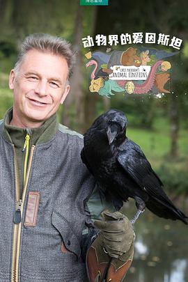 动物界的爱因斯坦 第一季 Chris Packham's Animal Einsteins Season 1.2021 字幕下载