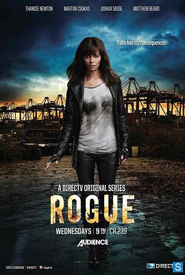 卧底情劫 第一季 Rogue Season 1.2013 字幕下载