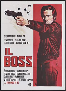 大佬 Il Boss.1973 字幕下载