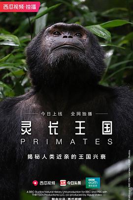 灵长王国 Primates.2020 字幕下载