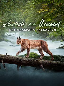 回归远古森林：卡尔克阿尔卑斯国家公园 Zurück zum Urwald - Nationalpark Kalkalpen.2015 字幕下载