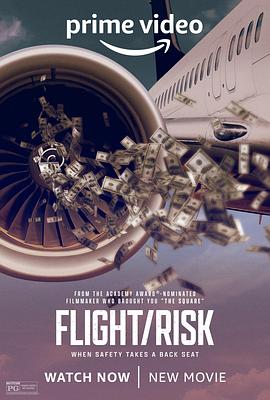 飞行风险 Flight/Risk.2022 字幕下载
