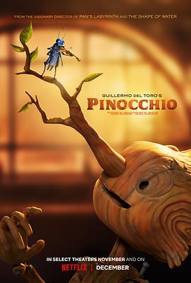 吉尔莫·德尔·托罗的匹诺曹 Guillermo Del Toro's Pinocchio.2022 字幕下载
