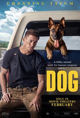 忠犬 Dog.2022 字幕下载