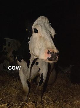 奶牛 Cow.2021 字幕下载