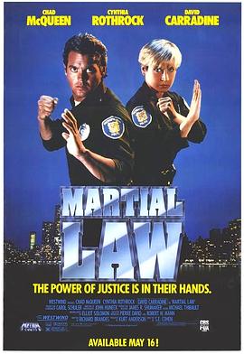 卧底飞龙 Martial Law.1991 字幕下载