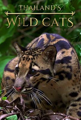 泰国野生猫科 Thailand's Wild Cats.2021 字幕下载