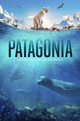 Patagonia: Life on the Edge of the World .2022 字幕下载