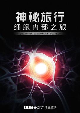 神秘旅行：细胞内部之旅 Secret Universe: Journey Inside the Cell.2012 字幕下载