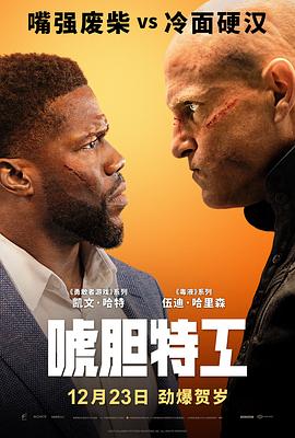 唬胆特工 The Man from Toronto.2022 字幕下载