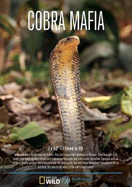 眼镜蛇黑手党 Cobra Mafia.2015 字幕下载